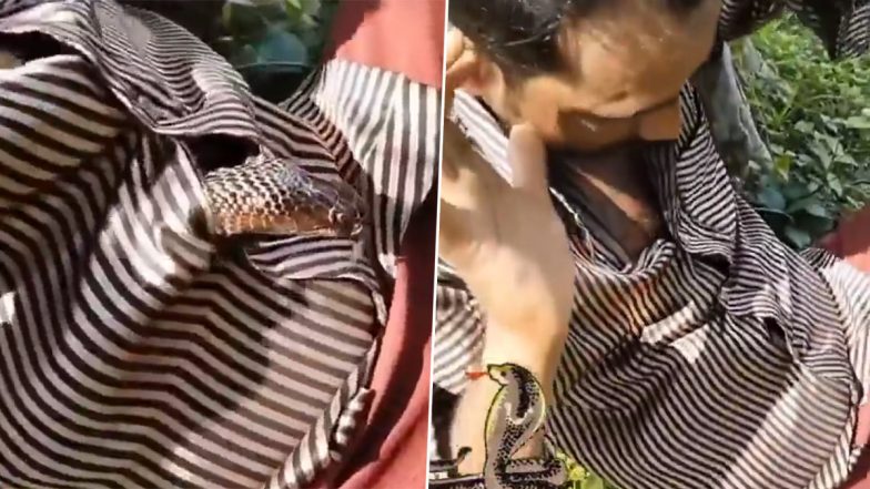 Viral Video: शख्स के शर्ट में घुसा खतरनाक सांप, बार-बार सिर निकालकर फैला रहा था फन और फिर...