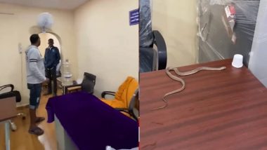 Snake Video: घर में घुसे सांप को पकड़कर GHMC वार्ड के कार्यालय में छोड़ा, शिकायत की सुनवाई ना होने पर शख्स ने उठाया ये कदम