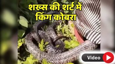 Viral Video: लड़के की शर्ट में घुसा किंग कोबरा, बार-बार फैला रहा था फन, रोंगटे खड़े कर देगा डरावना वीडियो