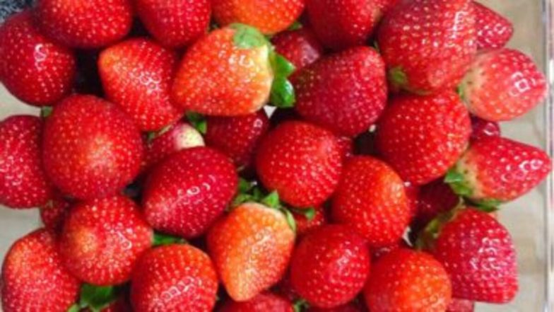 Daily Consumption Of Strawberries Beneficial For Brain Development: रोजाना स्ट्रॉबेरी का सेवन मस्तिष्क विकास के लिए लाभकारी- अध्ययन