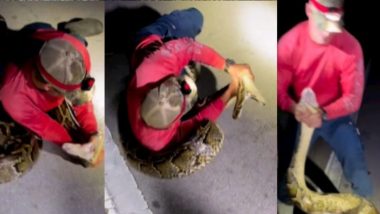 Longest Python VIDEO: जान खतरे में डालकर लड़के ने पकड़ा 19 फीट का अजगर, वीडियो देख खड़े हो जाएंगे रोंगटे!