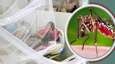 Dengue in West Bengal: पश्चिम बंगाल में डेंगू के मामले बढ़े, मरीजों की संख्‍या 50 हजार के पार पहुंची