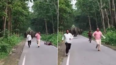 Viral Video: गजराज के साथ सेल्फी लेना चाहते थे युवक, गुस्साए हाथियों के झुंड ने कर दिया हमला