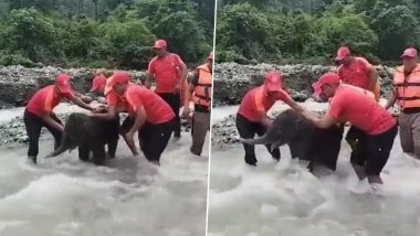 Viral Video: उफनती नदी में फंसे नन्हे हाथी के लिए मसीहा बने एसएसबी के जवान, ऐसे बचाई गजराज की जान