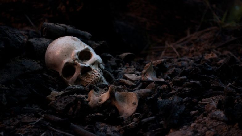 Mexico Cannibal Horror: 'शैतान की पूजा करने वाले' नरभक्षी ने की पत्नी की हत्या, दिमाग खाने के बाद खोपड़ी को बनाया ऐशट्रे
