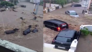 Junagadh Flood Video: गुजरात के जूनागढ़ में भीषण बाढ़, उफान में बह गए मवेशी और वाहन