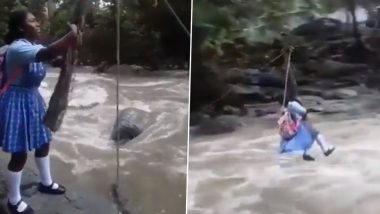 OMG! स्कूल जाने के लिए लड़की ने खतरे में डाली जान, रस्सी से लटक कर पार की नदी (Watch Viral Video)