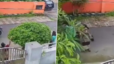 Video: लखनऊ में फूल तोड़ने के बहाने बदमाशों ने महिला के गले से लूटी चेन, CCTV में कैद हुई घटना