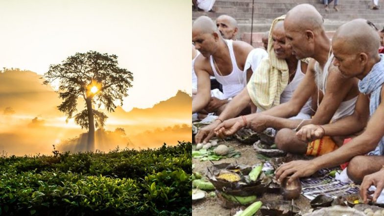 Hariyali Amavasya 2023:&nbsp;काल-सर्प, पितृ-दोष एवं धन-संकट से मुक्ति के लिए ऐसे करें शिव जी की पूजा एवं अचूक उपाय!