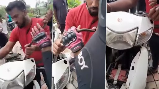 Snake Hides Inside Scooter: स्कूटर की हेडलाइट के अंदर छिपा था सांप, बचावकर्मियों ने ऐसे किया रेस्क्यू, देखें वीडियो