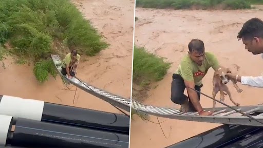 Viral Video: तेज पानी में फंसे पिल्ले को बचाने के लिए शख्स ने अपनी जान जोखिम में डाली, देखें वीडियो