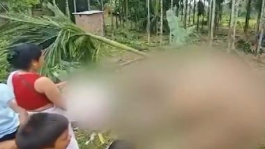 Assam: बिजली के तार की चपेट में आने से तीन हाथियों की मौत, वन प्रभाग के अधिकारीयों ने स्थिति का लिया जायजा, देखें वीडियो