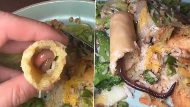 Earthworms in Spring Roll: स्प्रिंग रोल से निकला बड़ा सा केंचुआ, वीडियो देख हो जाएगा दिमाग ख़राब