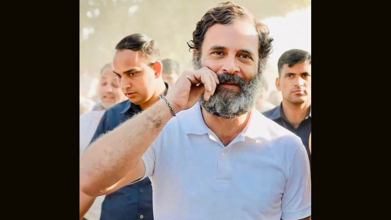 Rahul Gandhi MP Again: कांग्रेस कार्यकर्ताओं ने पार्टी मुख्यालय के बाहर मनाया जश्‍न