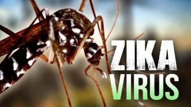 Zika Virus In Mumbai: मुंबई में जीका वायरस का पहला केस, अलर्ट पर BMC, जानें कितनी घातक है ये बिमारी