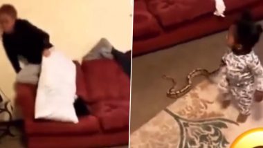 Toddler Scared Mother With Live Snake: छोटे से बच्चे ने जिन्दा सांप हाथ में पकड़कर मां को डराया, दिल दहला देने वाला वीडियो वायरल