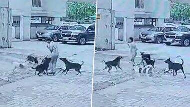 Ghaziabad Dog Attack Video: गाजियाबाद में आवारा कुत्तों का आतंक, बच्चे पर जान लेवा हमले के बाद डिलीवरी एजेंट ने बचाई जान, घटना का वीडियो CCTV में कैद