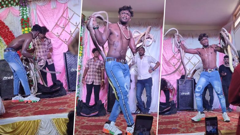 Shocking Video: हाथ में ढेर सारे सांप लेकर स्टेज पर नाचने लगा शख्स, दिल दहला देने वाला वीडियो वायरल