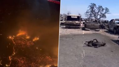 Hawaii Wildfire Death Toll: हवाई में जंगल की आग से अब तक 89 लोगों की मौत, तबाही का वीडियो आया सामने
