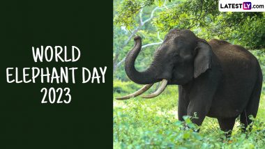 World Elephant Day 2023: कब है विश्व हाथी दिवस? जानें इसका महत्व, उद्देश्य, सेलिब्रेशन एवं हाथी से जुड़े कुछ रोचक फैक्ट!