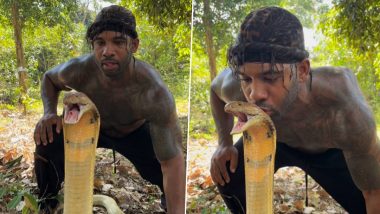 Man Kisses Deadly Cobra: शख्स ने खतरनाक गुस्सैल किंग कोबरा के सिर पर किया किस, देखें वीडियो