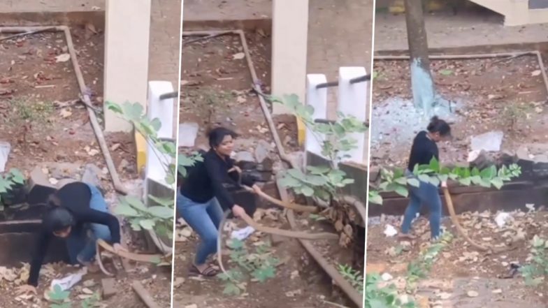 Woman Catches two Cobra With Bare Hands: महिला ने नंगे हाथों से पकड़े दो कोबरा, देखें दिल दहला देने वाला वीडियो