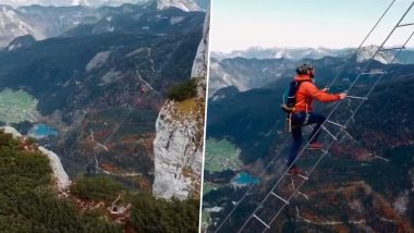 Terrifying Video: ऑस्ट्रिया में 'Stairway To Heaven' के नाम से जानी जाने वाली 43 मीटर ऊंची गगनचुंबी सीढ़ी का शॉकिंग वीडियो वायरल