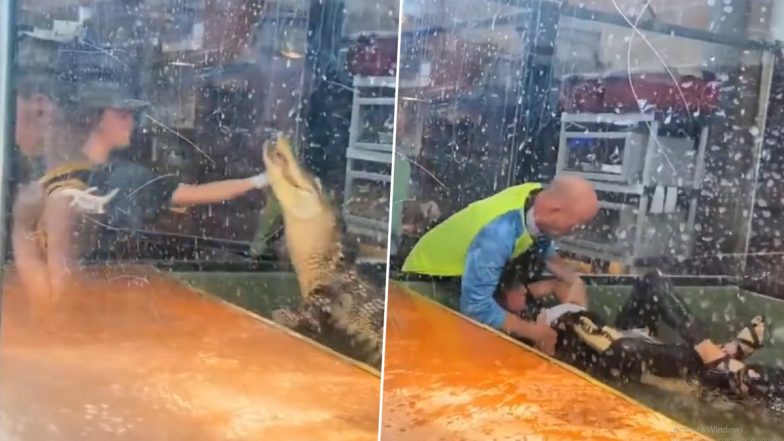 Crocodile Attacks Zookeeper Video: मगरमच्छ ने महिला चिड़ियाघर संचालक पर किया हमला, सहकर्मी और विजिटर ने ऐसे बचाया
