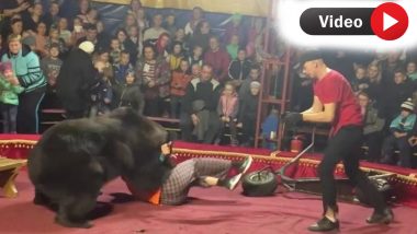Bear Attack: भालू ने अचानक अपने मालिक पर किया हमला, बाल-बाल बची जान, देखें दहशत भरा VIDEO