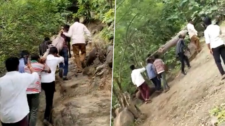Maharashtra: सड़क न होने की वजह से शव को बैग में रखकर ले जाने को मजबूर हुए लोग, नांदेड से सामने आया हैरान करने वाला वीडियो