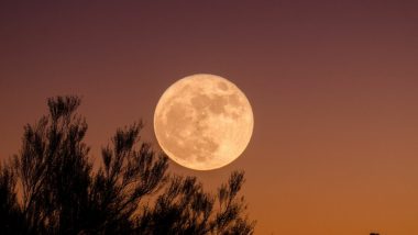 Super Blue Moon 2023: आसमान में 30 अगस्त को दिखेगा दिव्य एवं भव्य चंद्रमा! जानें क्या होता है 'सुपर ब्लू मून'?