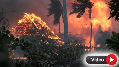 America Hawaii Wildfire: हवाई के जंगलों में आग का तांडव जारी, अब तक 114 लोगों की मौत, 2200 इमारतें नष्ट