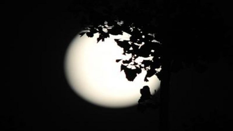 Humans On Moon: आर्टेमिस मिशन में इंसानों को चांद पर भेजेगा NASA, पहली बार इतनी देर तक चंद्रमा पर मौजूद रहेंगे अंतरिक्ष यात्री