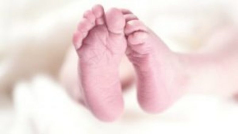 Navi Mumbai:  नवी मुंबई में नवजात बच्ची लावारिस हालत में बैग में पाई गई, केस दर्ज कर पुलिस जांच में जुटी
