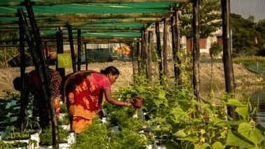 Sundarbans Wins $100,000 At GEF Assembly: सुंदरबन में डिज़ाइन फ्लोटिंग फार्म कार्यक्रम ने जीईएफ असेंबली में जीते एक लाख डॉलर