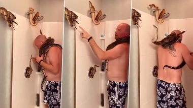 बाथरूम में भरे थे कई खतरनाक सांप, बेखौफ होकर उनके बीच नहाता दिखा शख्स (Watch Viral Video)