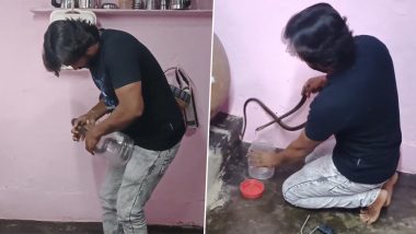 घर के किचन में छुपकर बैठा था खतरनाक सांप, शख्स ने नंगे हाथों से नागराज को धर दबोचा (Watch Viral Video)