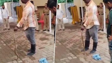 Snake Near Uddhav Thackeray's House Matoshree: उद्धव ठाकरे के मातोश्री परिसर में निकला सांप, पकड़ा गया- VIDEO