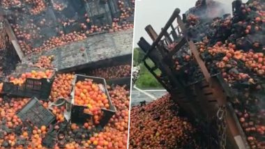 Tomatoes Truck Fire Video: यूपी के ललितपुर में NH-44 पर टमाटर से भरे ट्रक में लगी आग, लाखों का नुकसान