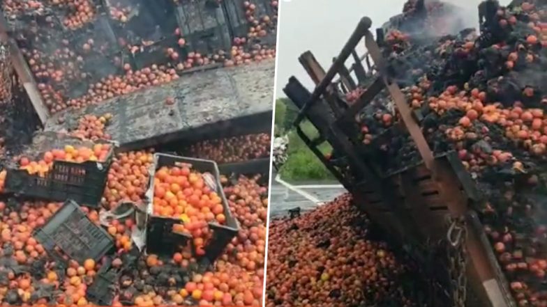 Tomatoes Truck Fire Video: यूपी के ललितपुर में NH-44 पर टमाटर से भरे ट्रक में लगी आग, लाखों का नुकसान