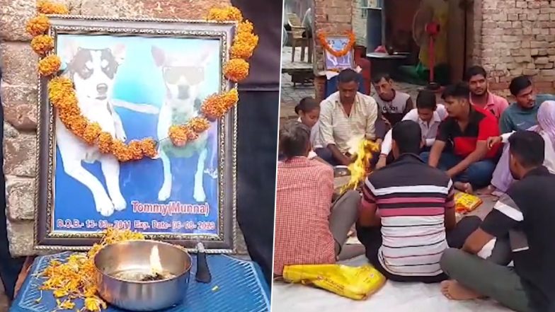 UP Dog Death: यूपी के बागपत में कुत्ता ‘टॉमी उर्फ मुन्ना की मौत पर लोग गमगीन, आत्मा की शांति के लिए कराया भोज- VIDEO