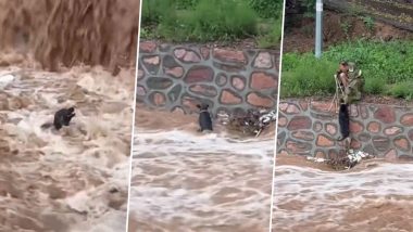 पानी के तेज बहाव में डूबने लगा कुत्ता, बचने के लिए मारे हाथ-पैर, तभी मसीहा बनकर पहुंचा शख्स (Watch Viral Video)
