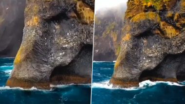 Viral Video: हाथी की तरह दिखने वाले द्वीप का वीडियो हुआ वायरल, नजारा देख आप भी हो जाएंगे कंफ्यूज