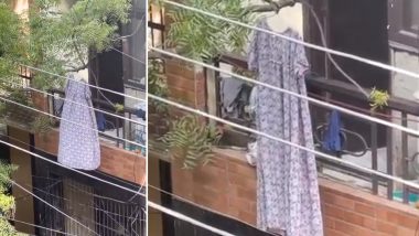 Viral Video: रात को बालकनी में महिला को दिखा भूतिया साया, डर के मारे पढ़ने लगी हनुमान चालीसा, सुबह उठी तो उड़ गए होश