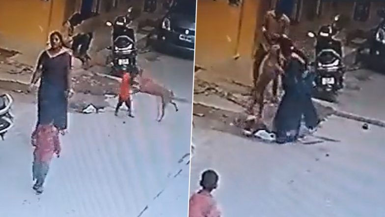 Dog Attack In Hyderabad Video: हैदराबाद में आवारा कुत्ते ने बच्चे पर मारा झपट्टा, खौफनाक घटना सीसीटीवी में कैद