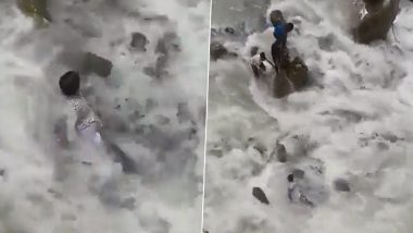 Viral Video: रामबाड़ा के पास मंदाकिनी में सेल्फी लेने की कोशिश कर रहा था शख्स, गिरा नदी में