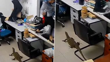 Monitor Lizard in Office Video: ऑफिस में अचानक घुस आई विशाल छिपकली, डर के मारे टेबल पर चढ़ गए लोग