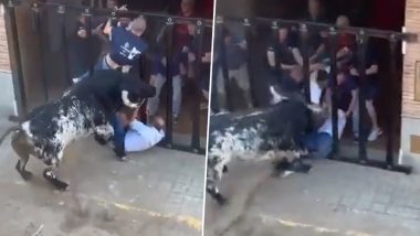 Bull Attack Video: स्पेनिश बुल रनिंग फेस्टिवल के दौरान बैल ने एक आदमी को पीट-पीटकर मार डाला, खौफनाक वीडियो वायरल