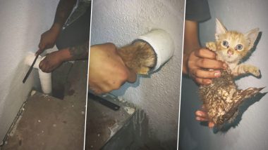 Man Rescues Cat stuck in a Drain Pipe: शख्स ने नाली की पाइप में फंसी बिल्ली को निकाला बाहर, देखें वीडियो