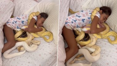 Little Girl Sleeping With Snakes: सांपों के साथ सोती हुई छोटी बच्ची का डरावना क्लिप वायरल, देखें वीडियो